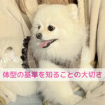 痩せてると思ってた！でも触ったら全然違った