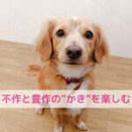 旬の“かき”をわんちゃんと一緒に楽しむ