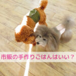 わんちゃんの“市販の手作りごはん”と ほんまの手作りの違いって