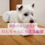 わんちゃんが教えてくれる家族のメンタル
