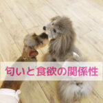 食べたい気持ちは匂いから