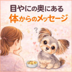 目やにの奥にある体からのメッセージ