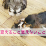 変えるトコと変えないトコ！整える大切さ