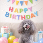 ６年前の今日この子の誕生が人生を変えてくれた