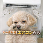 友だちの家で起きた！ちょっとした違和感の正体