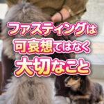 ファスティングは体を休ませるという選択