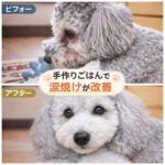 見てみて涙焼けがこんなにきれいに！！