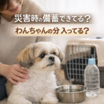 災害時の備蓄できてる？わんちゃんの分入ってる？