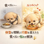 体型を理解して行動を変えたら食べない悩みが解決