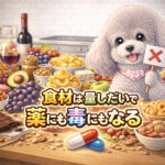 わんちゃんのNG食材あかんより考えてほしいこと
