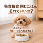 毎食毎食同じごはん！！それでいいの？