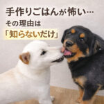 手作りごはんが怖い…その理由は「知らないだけ」