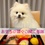 ご縁に感謝し想いを込めたおせち