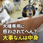 犬種専用に惑わされてへん？大事なんは中身！！