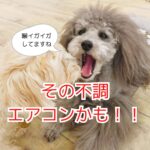 その不調エアコンから始まってるかも