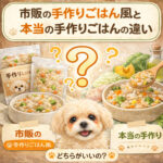 市販の手作りごはん風と本当の手作りごはんの違い