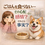ごはんを食べない… その心配！感情？それとも事実？
