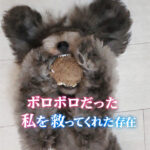 ボロボロだった私を救ってくれた存在