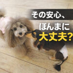 その安心ほんまに大丈夫？