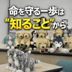 命を守る一歩は“知ること”から