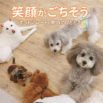 笑顔がごちそうホットプレートと家族の時間