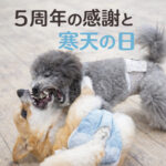 ぽんちゃんの学校５周年の感謝と寒天の日