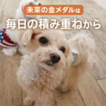 未来の金メダルは毎日の積み重ねから