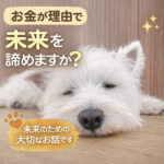 お金が理由で未来を諦めますか？