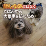 おしゃれではなく、ごはん中の大惨事を防ぐため