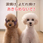 涙焼け「体質」やからって諦めないで！！