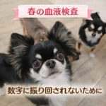 春の血液検査！数字に振り回されないために