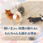 飼い主さんの体調が崩れるとわんちゃんも崩れる理由