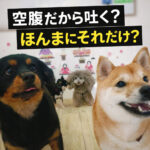 空腹だから吐く？ほんまにそれだけ？