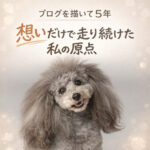 ブログを描いて5年 想いだけで走り続けた私の原点