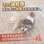 その違和感ほんまに放置して大丈夫？