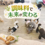 調味料で未来が変わる