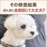 その検査結果ほんまに全部信じて大丈夫？