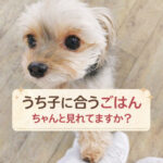 うち子に合うごはんちゃんと見れてますか？