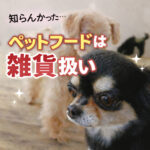 ペットフードは雑貨なのです