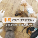 未病に気づけてますか？その違和感見逃さないで