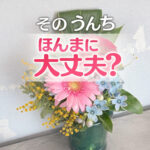 そのうんちほんまに大丈夫？