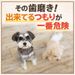 その歯磨き！出来てるつもりが一番危険