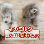 そのミルクほんまに安心なん？