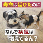 寿命は延びたのになんで病気は増えてるん？