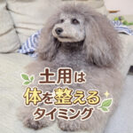 土用は体を整えるタイミング