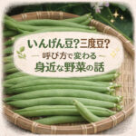 いんげん豆？三度豆？呼び方で変わる身近な野菜