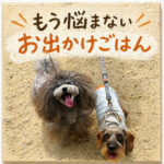 もう悩まないお出かけごはん