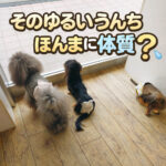 そのゆるいうんち、ほんまに体質？