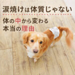 涙焼けは体質じゃない！体の中から変わる本当の理由