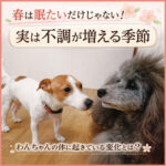 春は眠たいだけじゃない！実は不調が増える季節